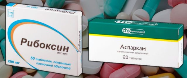 Аспаркам и рибоксин в бодибилдинге - можно ли принимать вместе