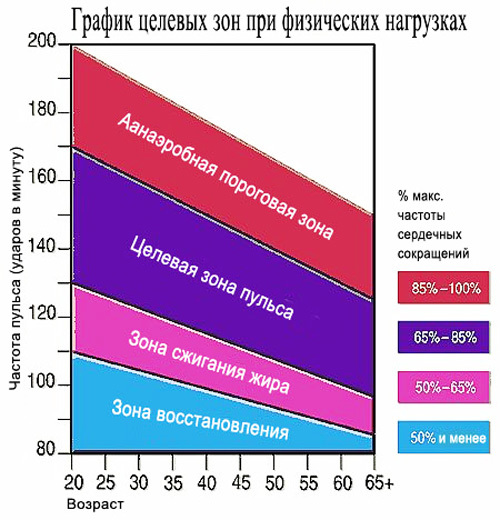 Пульс для сжигания жира калькулятор