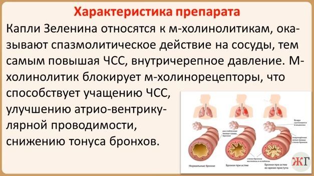 Пульс лежа пульс стоя норма - Лечение гипертонии