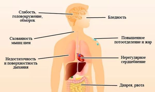 Как лечить пониженное давление в домашних условиях