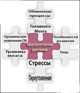 Нейроциркуляторная дистония: что это такое, причины, симптомы, лечение