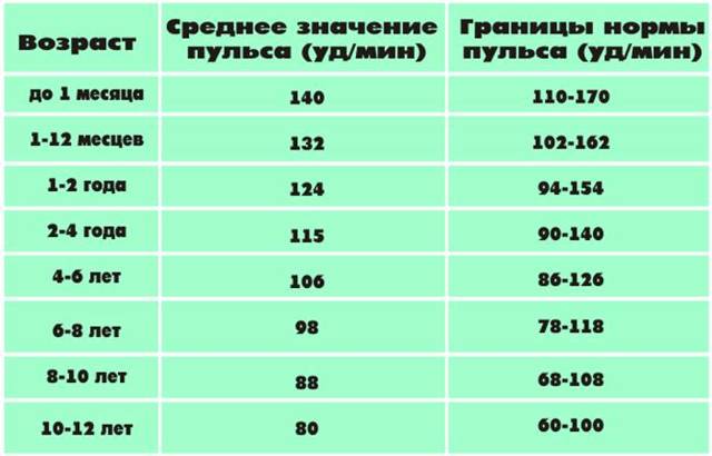 Сколько ударов должно биться сердце в минуту — Сердце