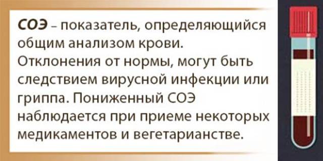 СОЭ анализ крови: норма и возможные отклонения