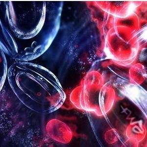 Процесс обновления крови особенности женского и мужского организма. - Энциклопедия Здоровья