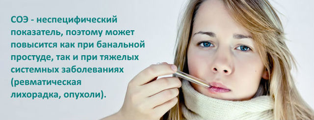 СОЭ и нормы скорости оседания эритроцитов в крови у женщин и детей