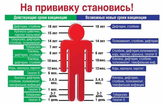 Краснуха у взрослых, лечение, фото и симптомы