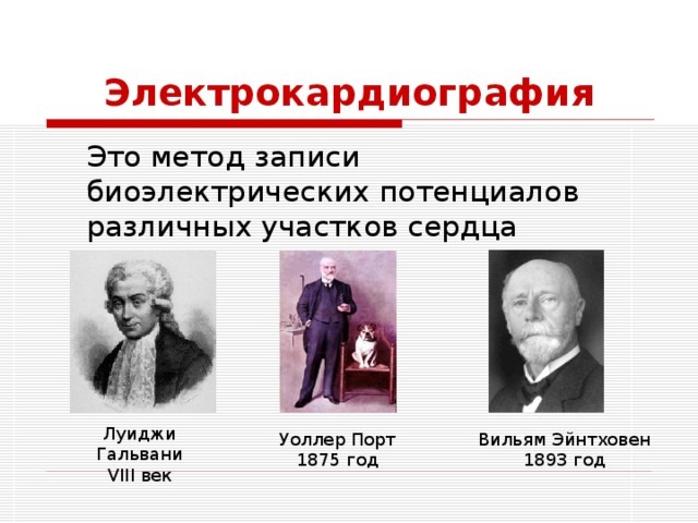 Расшифровка ЭКГ в норме и при патологии. Уроки по ЭКГ с видео