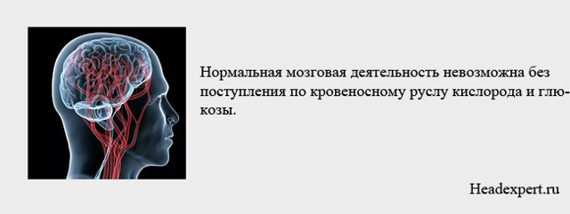 Микроангиопатия головного мозга: что это такое, причины, лечение