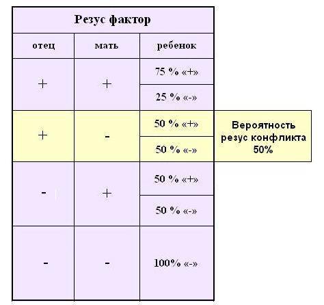 Какой у вас резус-фактор отрицательный или положительный, отрицательный резус - есть ли проблема, резус-конфликт - можно ли его избежать