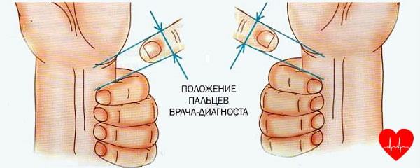 Какой должен быть пульс у здорового человека в разных условиях