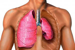 Боль в сердце при кашле - Всё о сердце