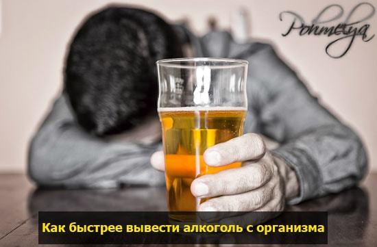 Сколько держится алкоголь в организме. Время выхода алкоголя из организма