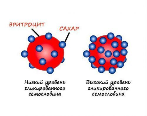 Гликированный гемоглобин в диагностике и контроле сахарного диабета 2 типа. - Доказательная медицина для всех