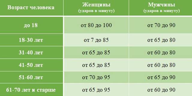 Сколько ударов должно биться сердце в минуту — Сердце