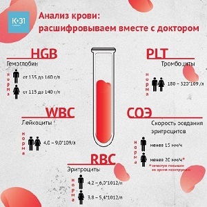 Лейкоцитарная формула в норме, причины отклонения показателей и возможные заболевания