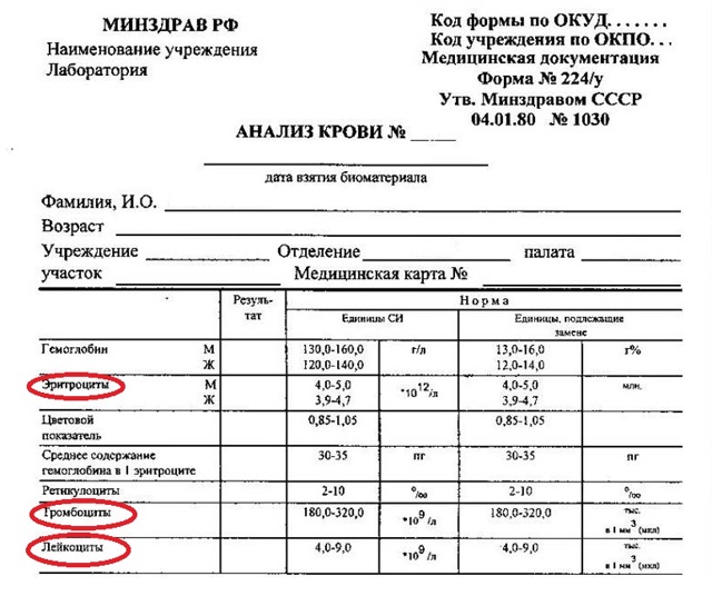 Клетки крови человека функции