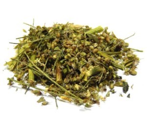 Препараты и народные средства для разжижения крови при варикозе