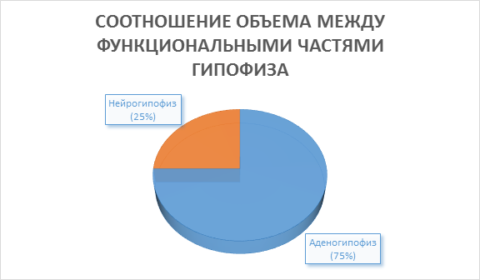 Пссг гормон что это такое - Про щитовидку