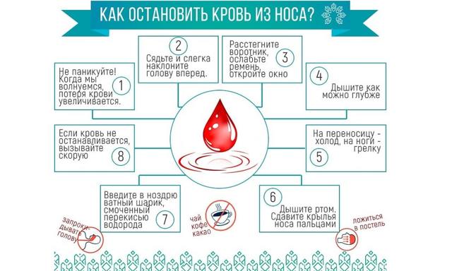Что делать, если идет кровь из носа