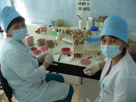 Посев крови - что это, что показывает бактериологический посев