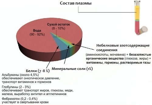 Болезнь крови. Болезни органов крови