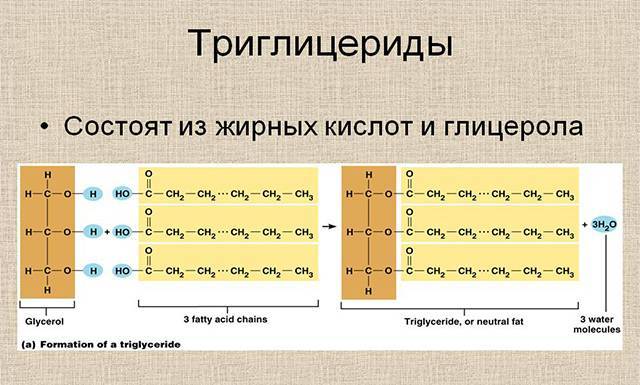 Фибраты препараты - что это такое и полный список