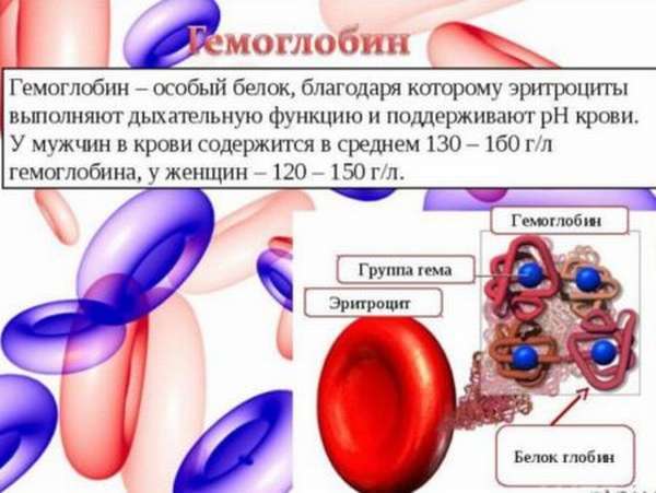 Гемоглобин 80 у женщины: причины, что делать
