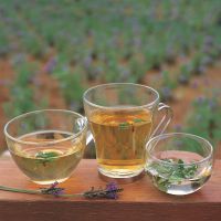 Как избавится от экстрасистолии навсегда. Экстрасистолы как избавиться