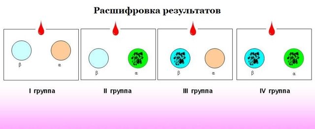 Определение группы крови по цоликлонам: как проводят, расшифровка результатов