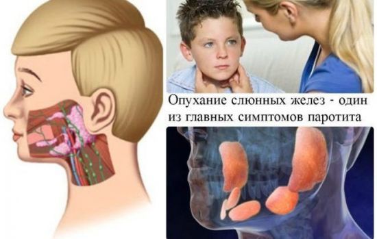 Норма диастазы в моче у взрослых и детей: при панкреатите, анализ, расшифровка результатов