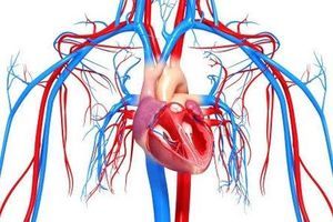 О Чем Говорит Боль в Грудной Клетке Посередине