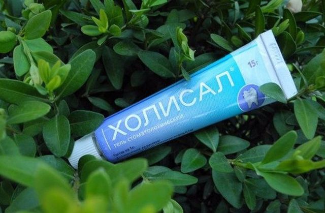 Холисал: инструкция по применению, цена, отзывы, аналоги, от чего гель, для детейОт чего помогает «Холисал». Инструкция по применению для детей и взрослых