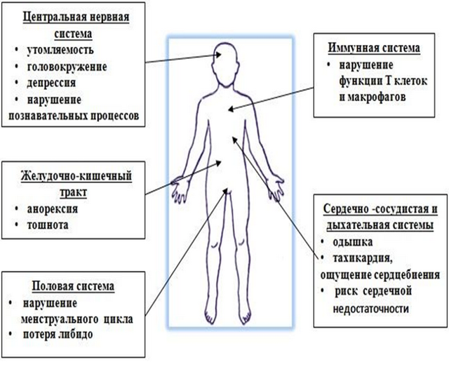 Средняя концентрация гемоглобина в эритроците повышена: причины