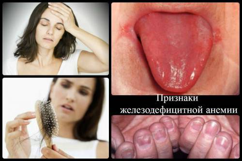 Средняя концентрация гемоглобина в эритроците повышена: причины