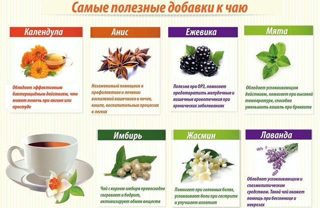 Как улучшить обмен веществ народными средствами