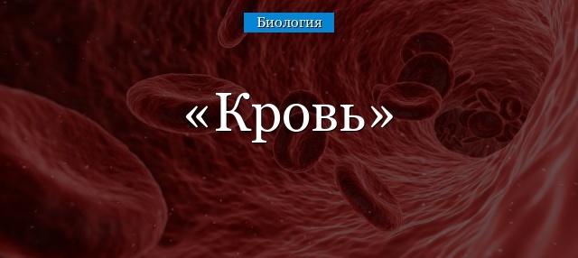 Клетки крови человека функции