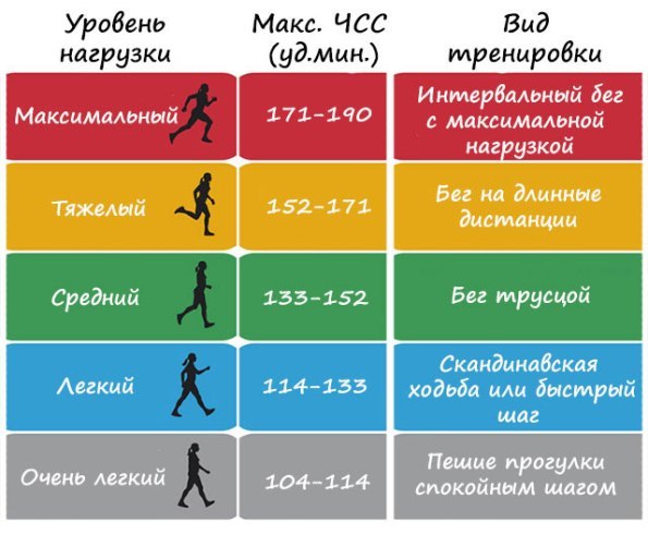 Пульс лежа пульс стоя норма - Лечение гипертонии