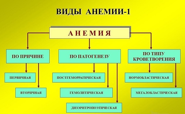 Почему rdw в анализе крови повышен и какой должна быть норма