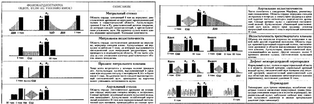 Аускультация сердца (выслушивание): точки, алгоритм, суть