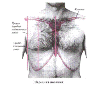 Топография грудной клетки. Границы грудной клетки