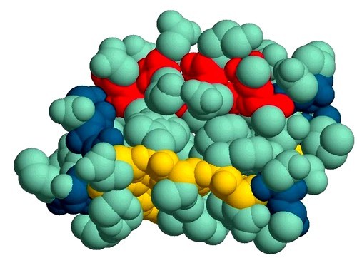 Расшифровка биохимического анализа крови – подготовка, проведение и анализ результатов
