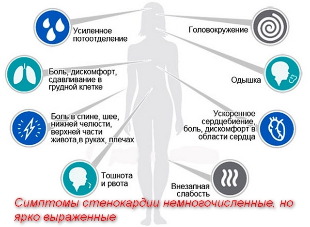 Самопомощь и неотложная помощь при стенокардии
