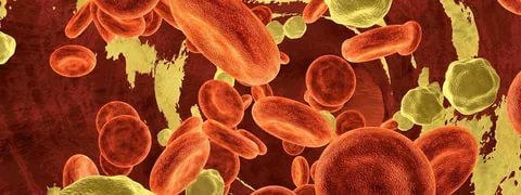 Холестерин плохой и хороший - опасность и норма у женщин