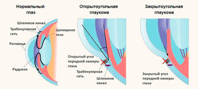 АРУТИМОЛ - инструкция по применению глазных капель