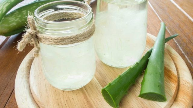 Алоэ при геморрое: как применять, отзывы