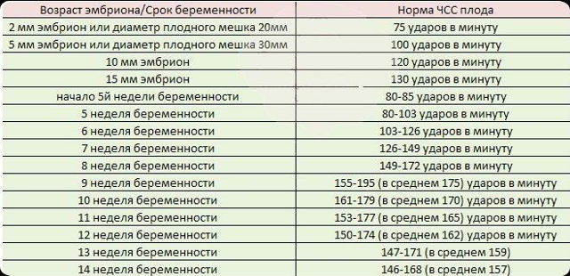 На каком сроке слышно сердцебиение плода на УЗИ?