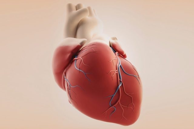 Аортальный порок сердца: симптомы и лечение