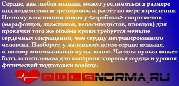 Повышенное сердцебиение, причины и лечение