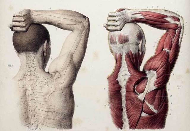 Как убрать горб на спине: эффективные способы лечения