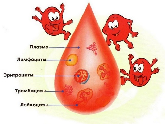 Цветовой показатель крови (ЦП)